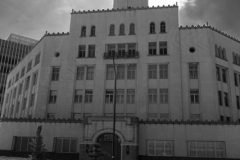 DSC00233.jpg