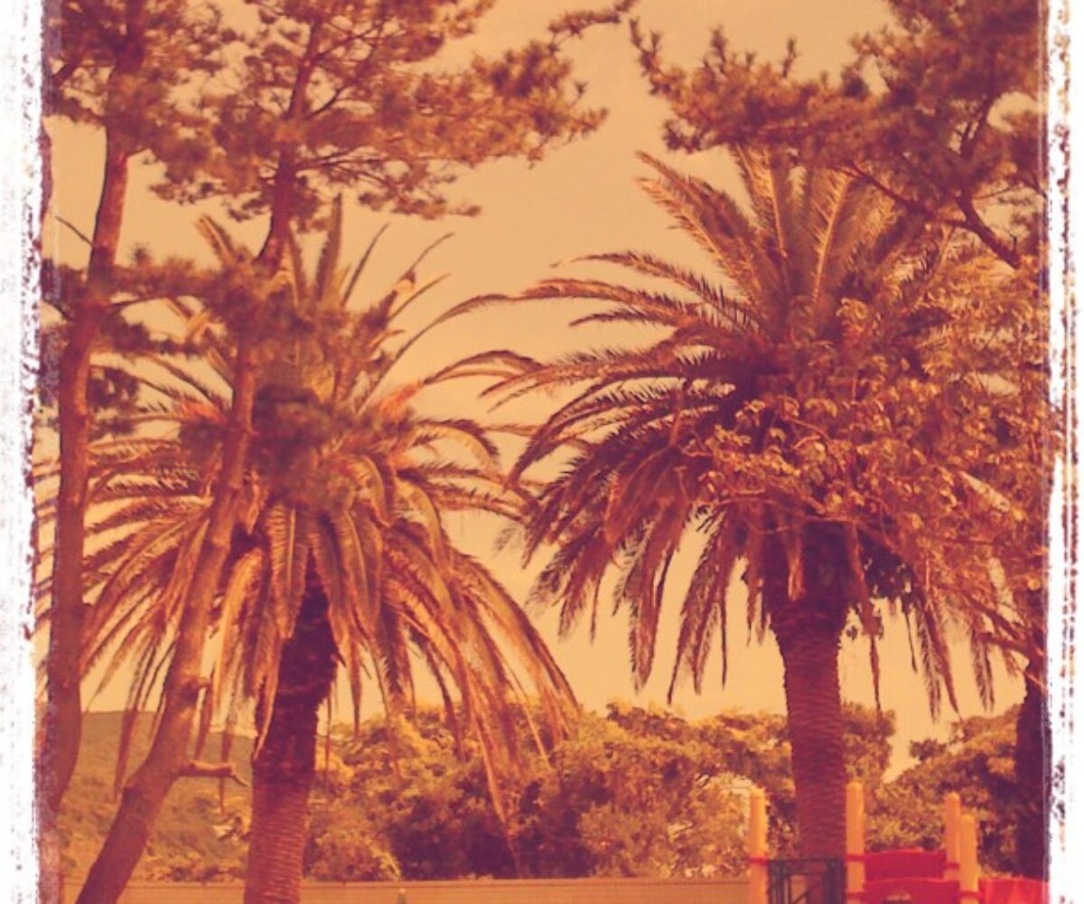 2011年7月8日 (21:36)