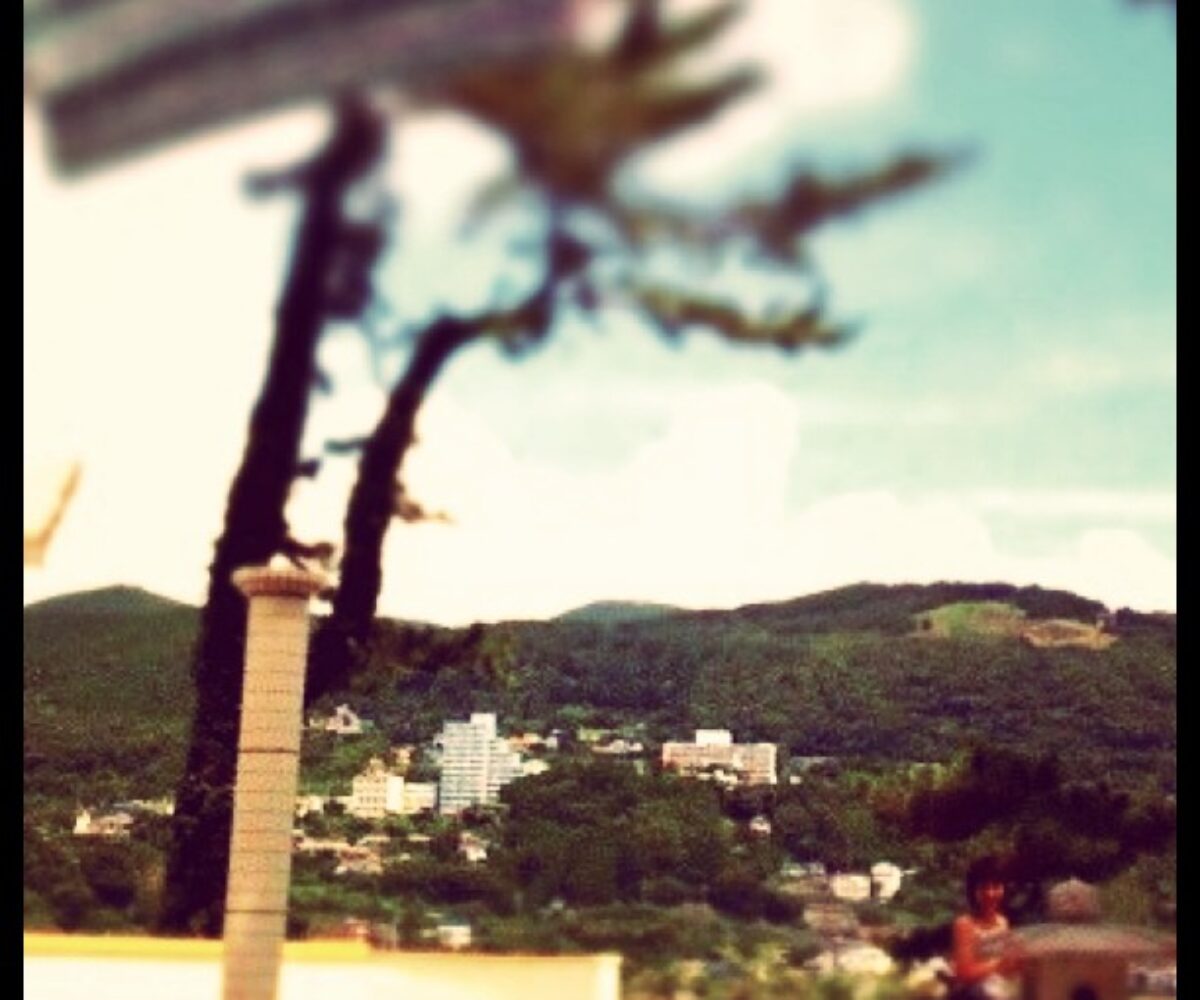 2011年7月8日 (21:37)