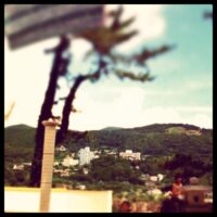 2011年7月8日 (21:37)