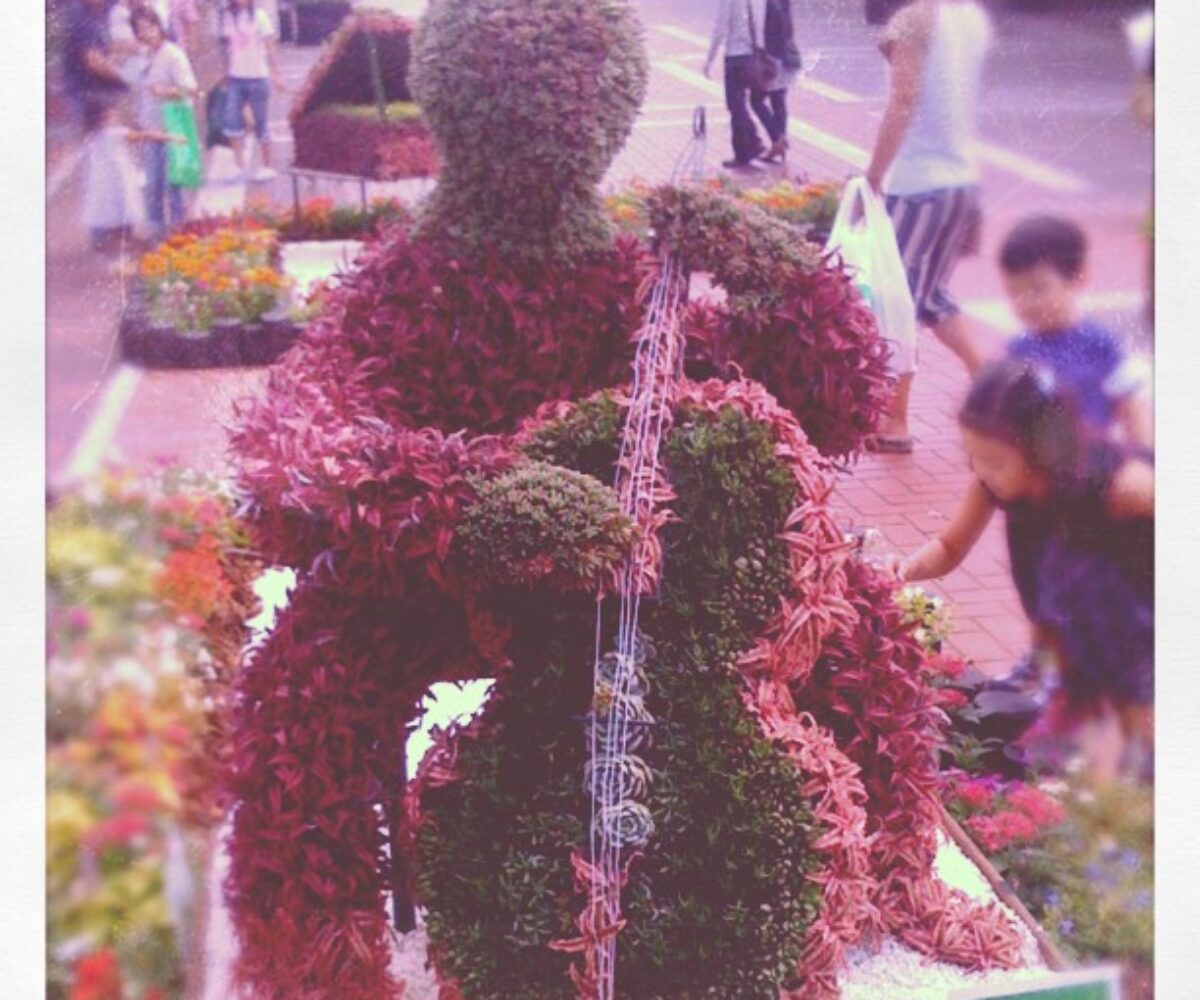 2011年8月14日 (22:56)