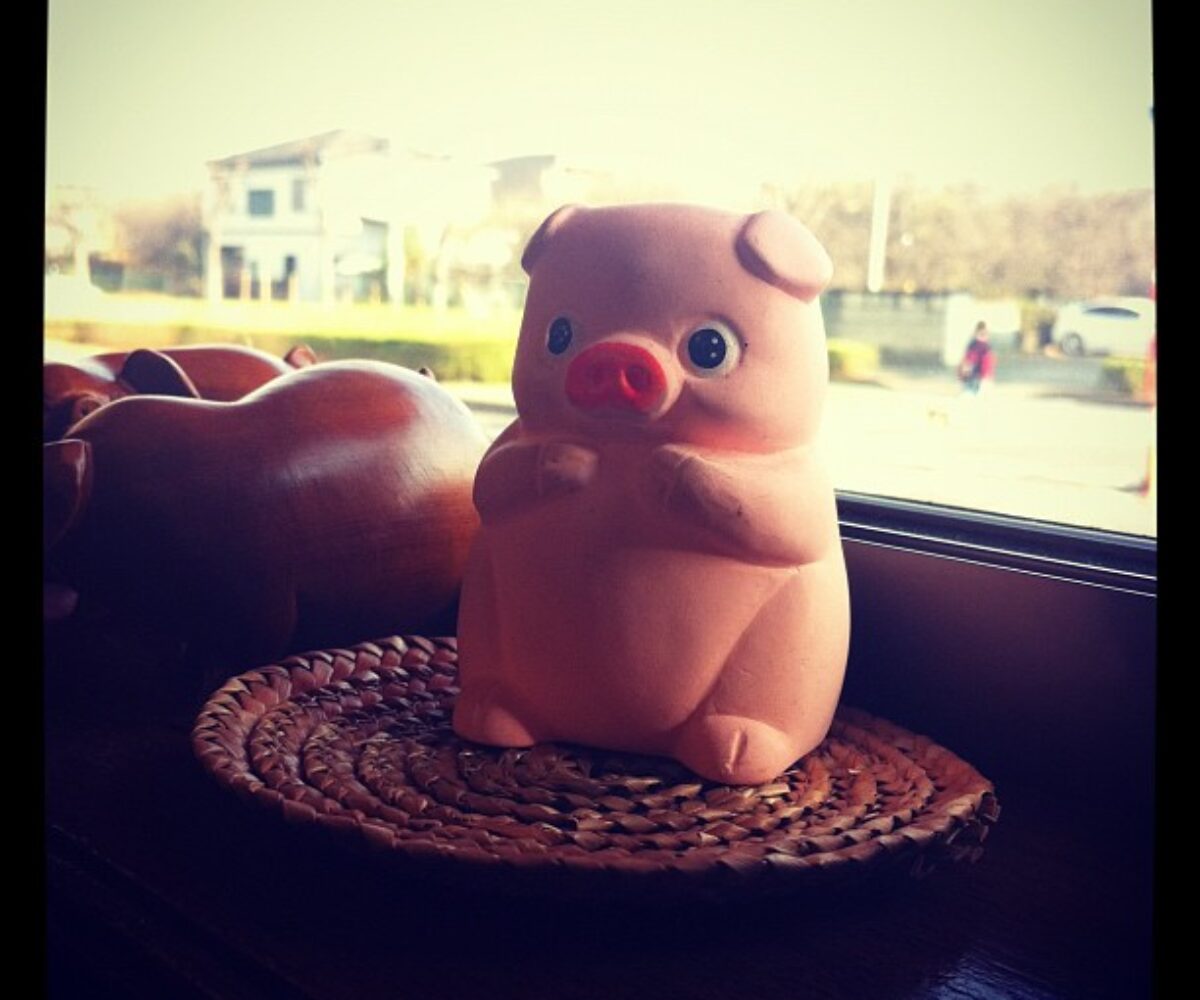 2011年11月23日 (13:36)