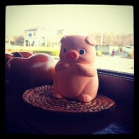 2011年11月23日 (13:36)