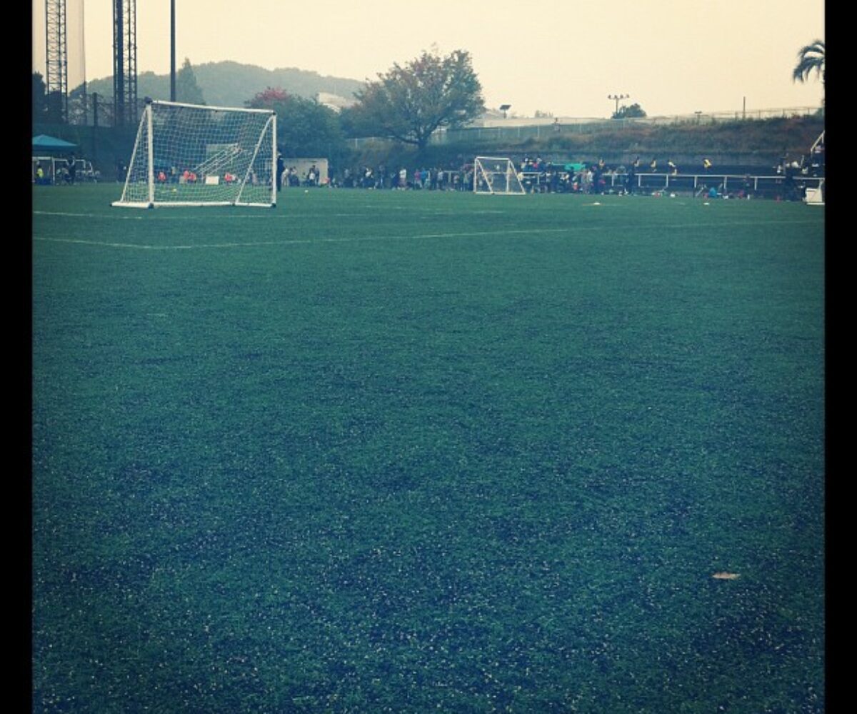 2011年11月6日 (09:33)