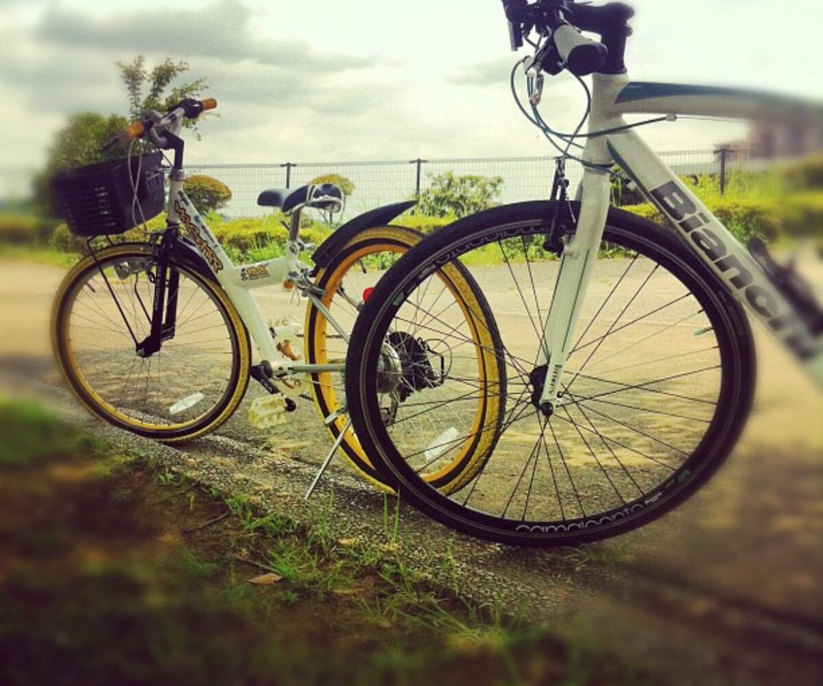 2012年6月30日 (11:03)