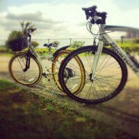 2012年6月30日 (11:03)