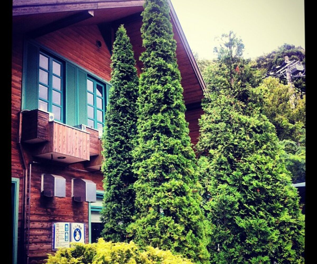 2012年8月11日 (13:55)