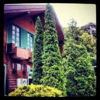 2012年8月11日 (13:55)