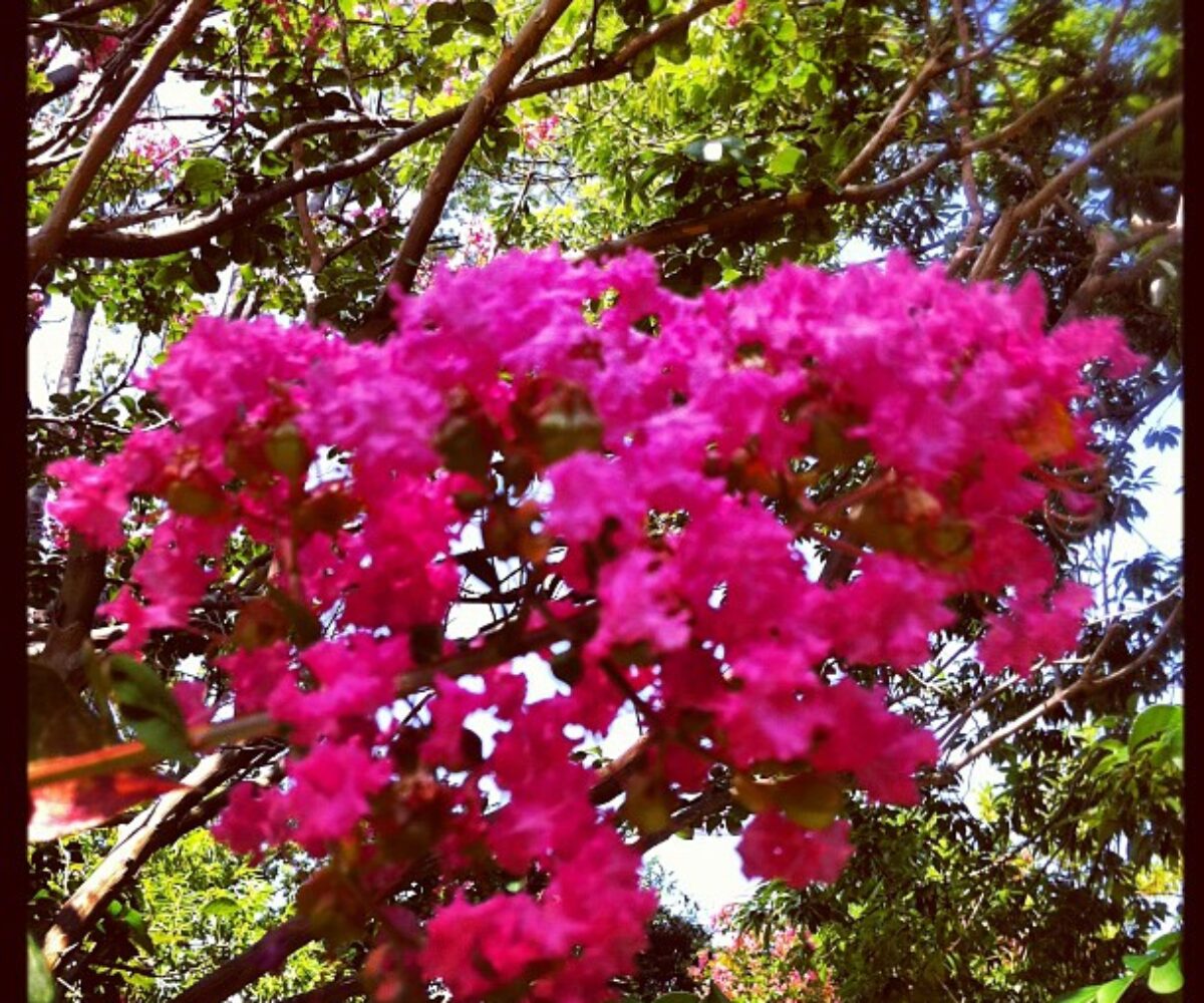 2012年8月26日 (11:54)