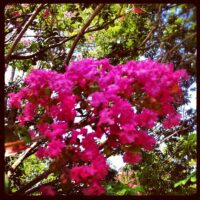 2012年8月26日 (11:54)