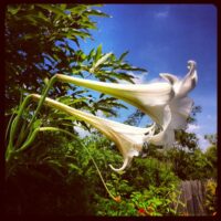 2012年8月26日 (11:37)