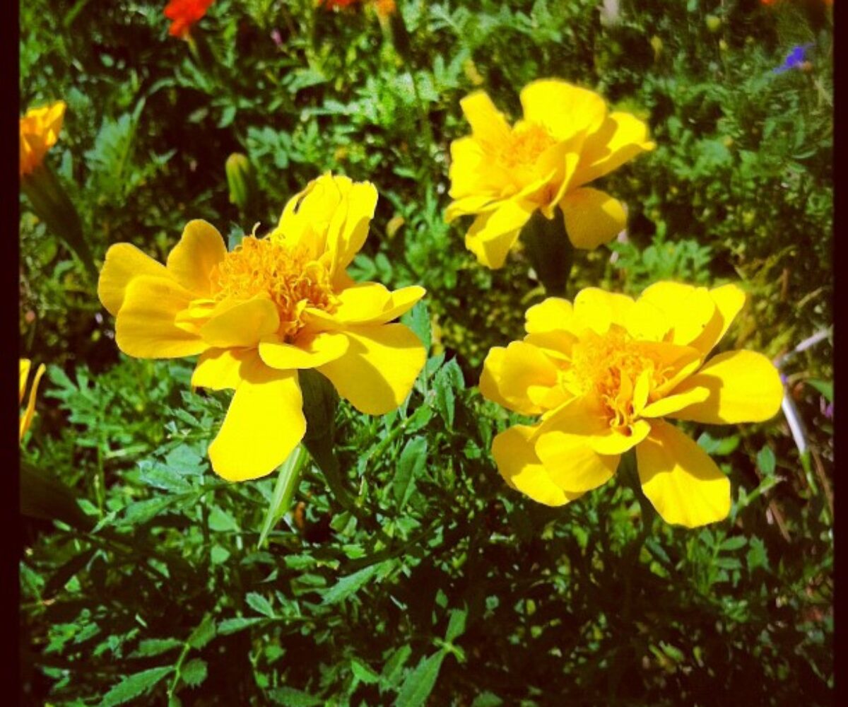 2012年8月26日 (10:19)