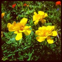 2012年8月26日 (10:19)