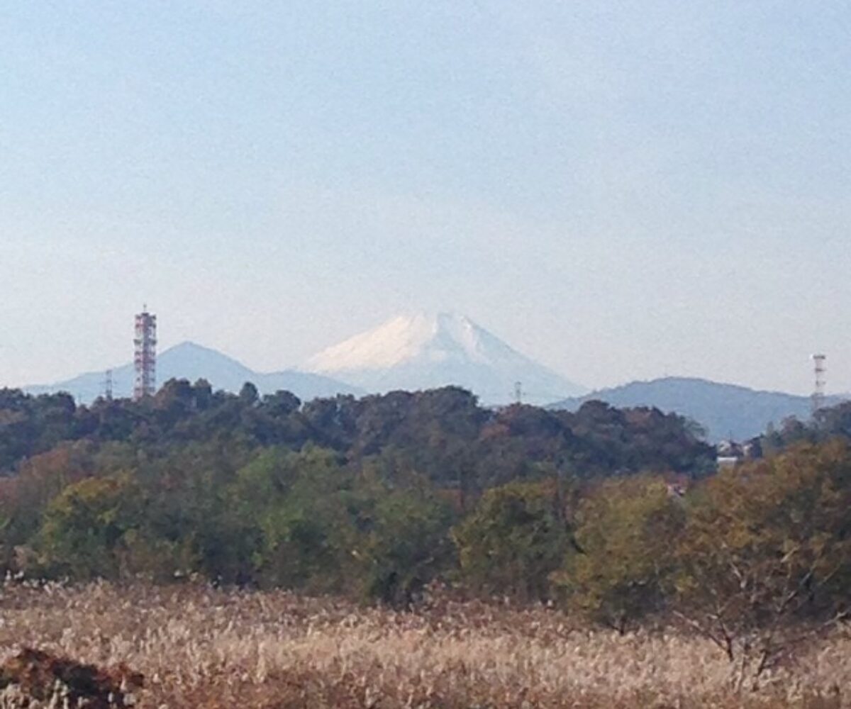 2013年11月24日 (11:04)