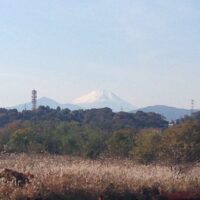 2013年11月24日 (11:04)