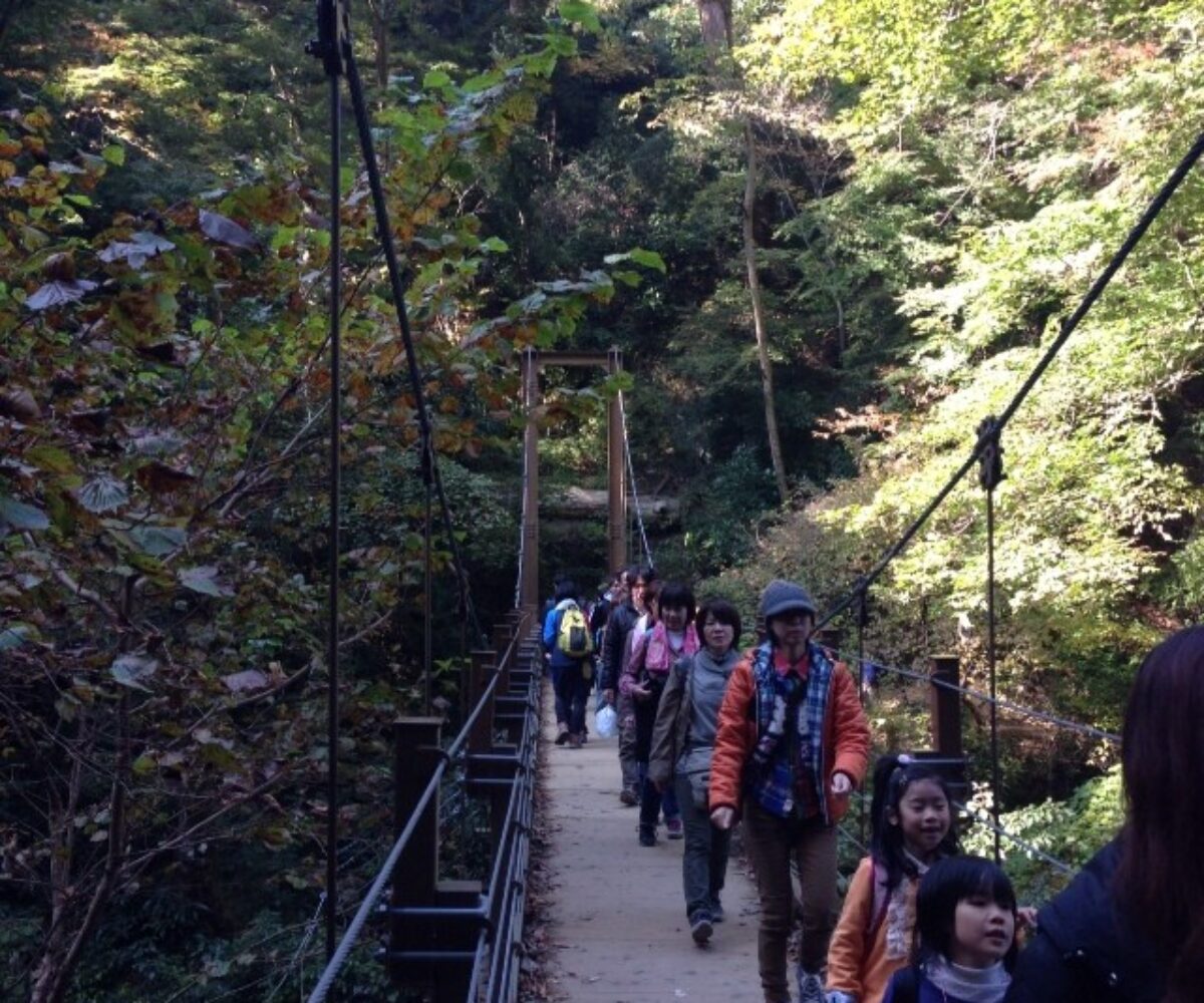 2013年11月17日 (12:11)