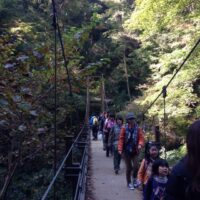 2013年11月17日 (12:11)