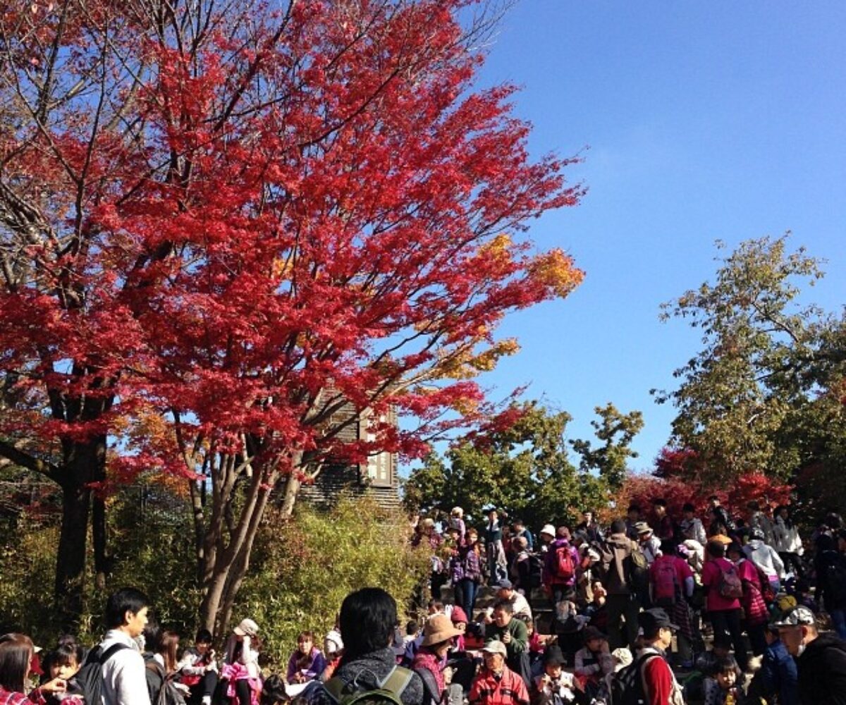 2013年11月17日 (11:03)