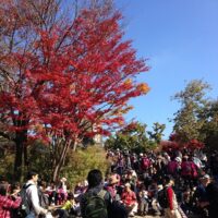 2013年11月17日 (11:03)