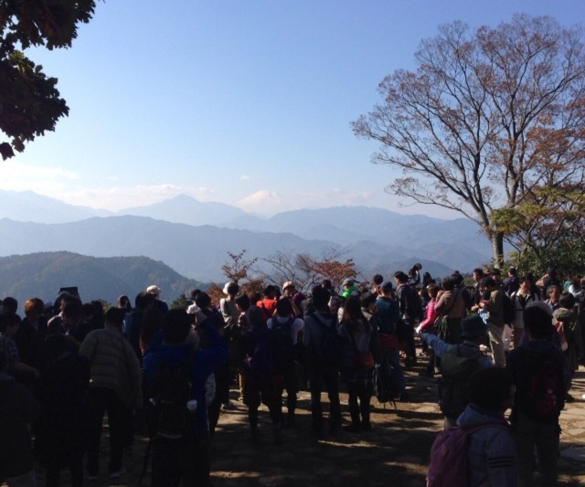 2013年11月17日 (10:53)