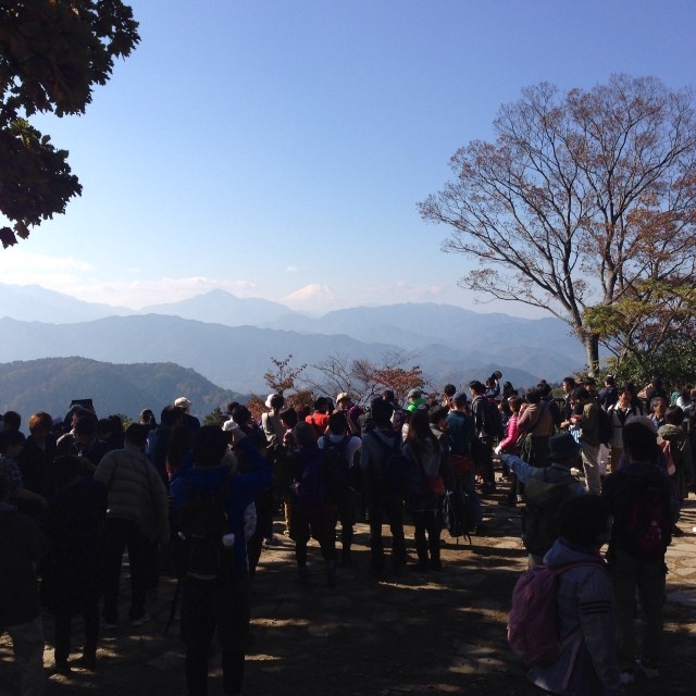 2013年11月17日 (10:53)