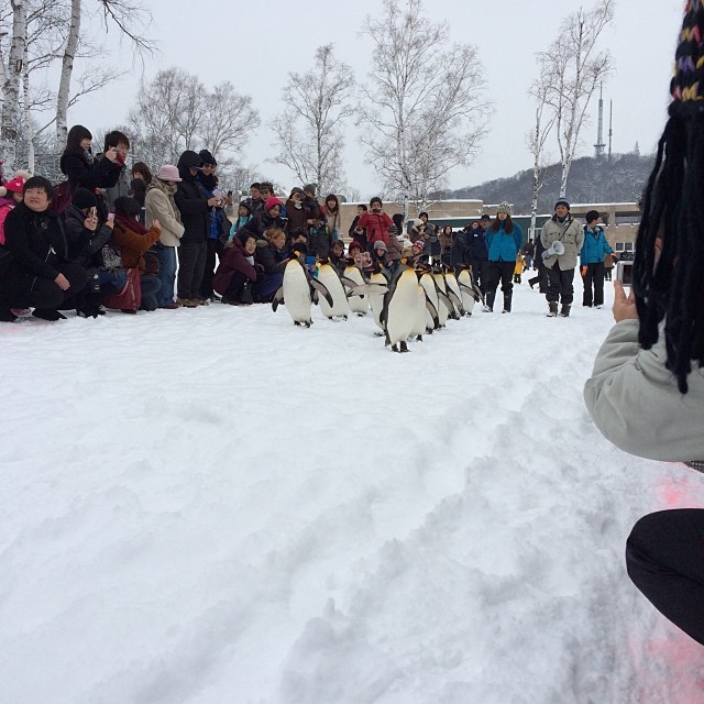 2013年12月26日 (11:14)