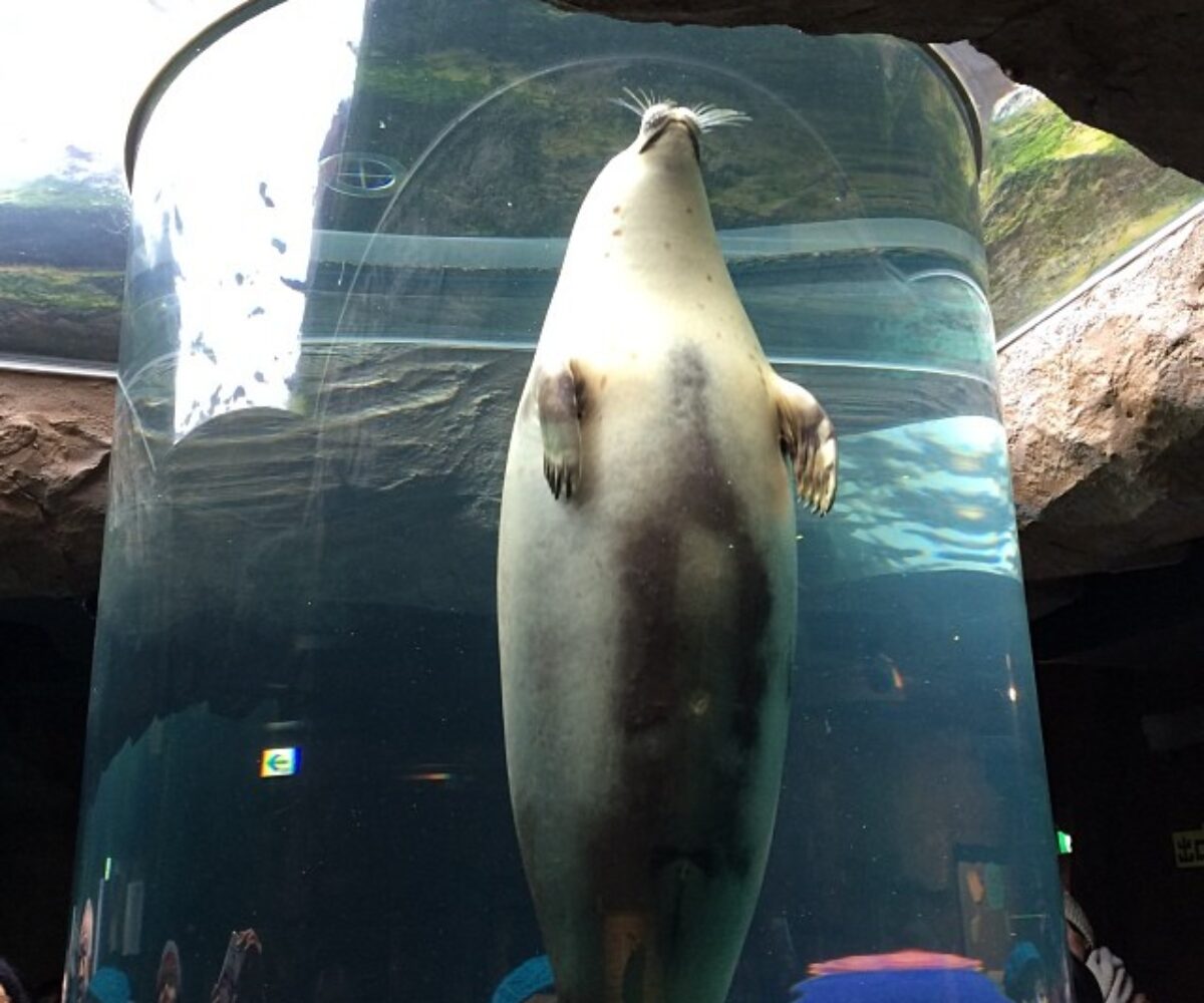 2013年12月26日 (12:36)