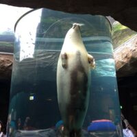 2013年12月26日 (12:36)