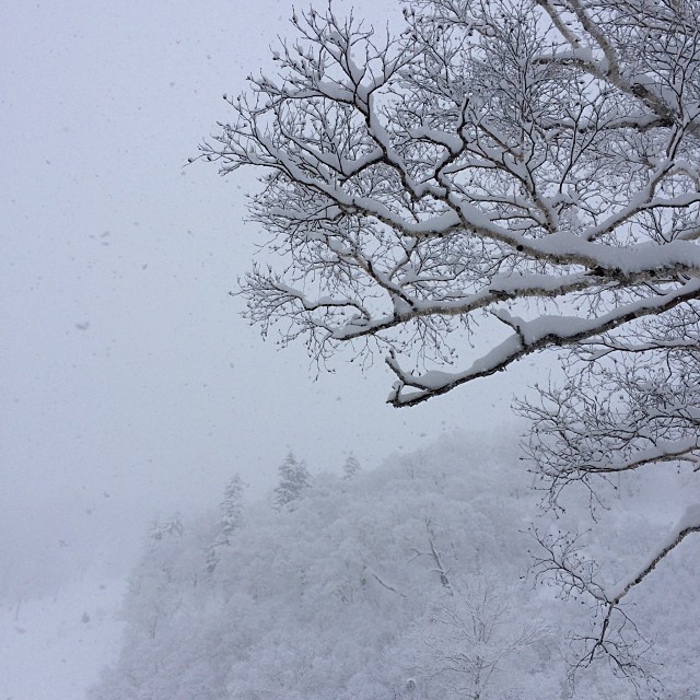 #furano