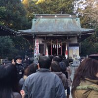 2014年1月1日 (15:55)