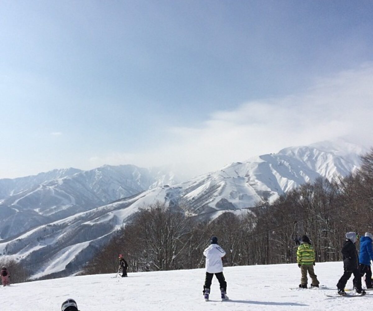 2014年1月18日 (10:31)