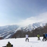 2014年1月18日 (10:31)