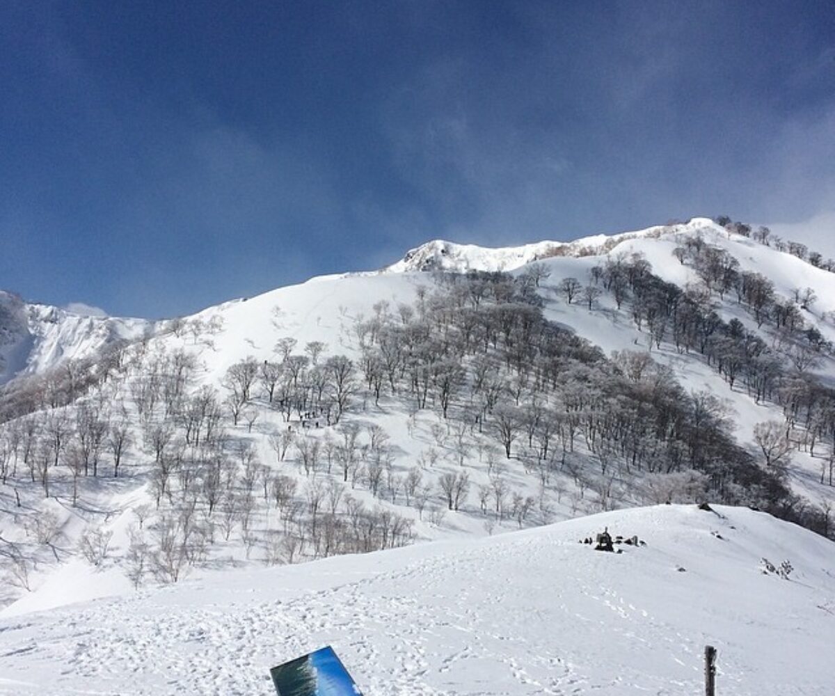 2014年3月15日 (09:41)