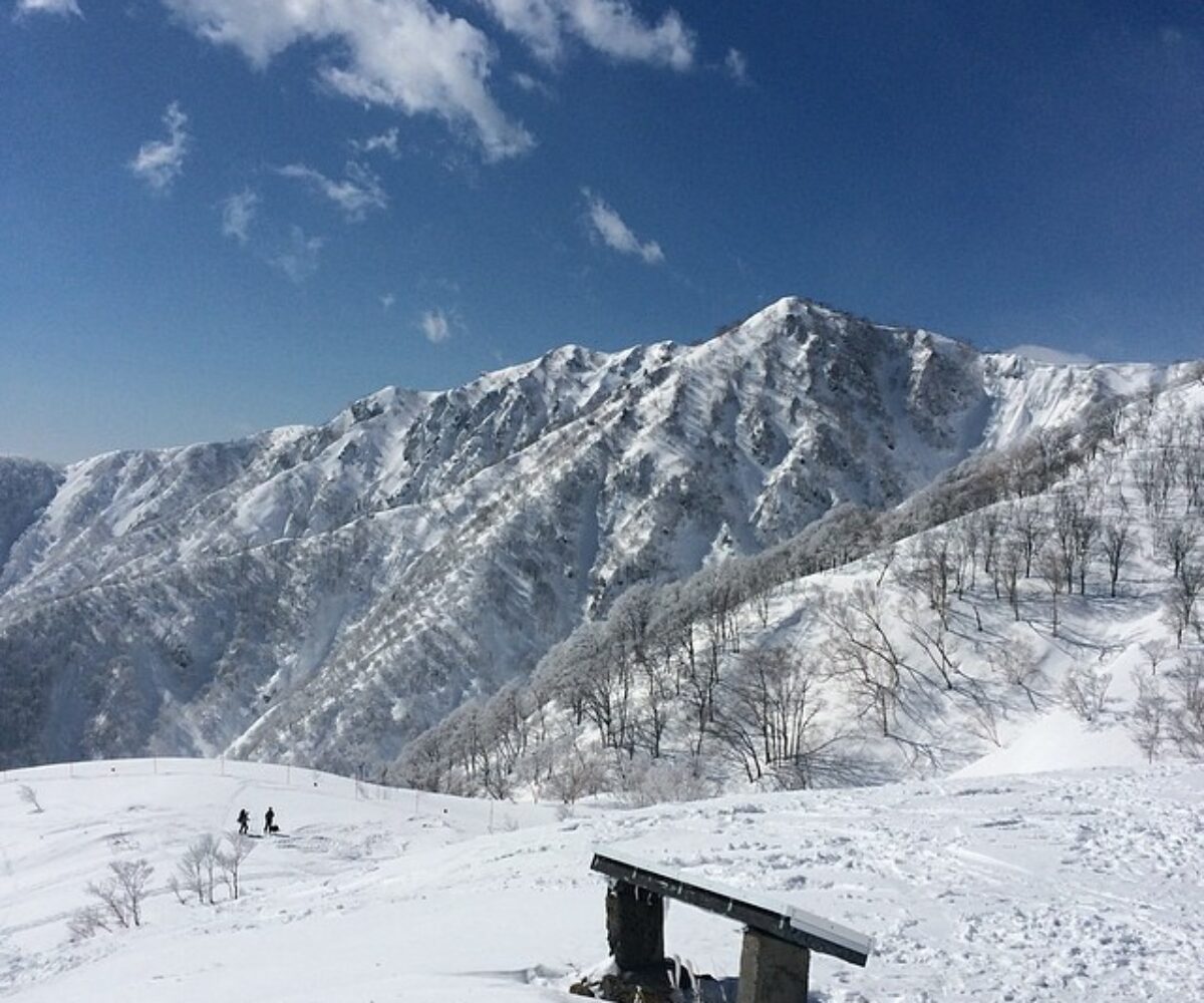 2014年3月15日 (09:40)