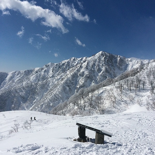 2014年3月15日 (09:40)