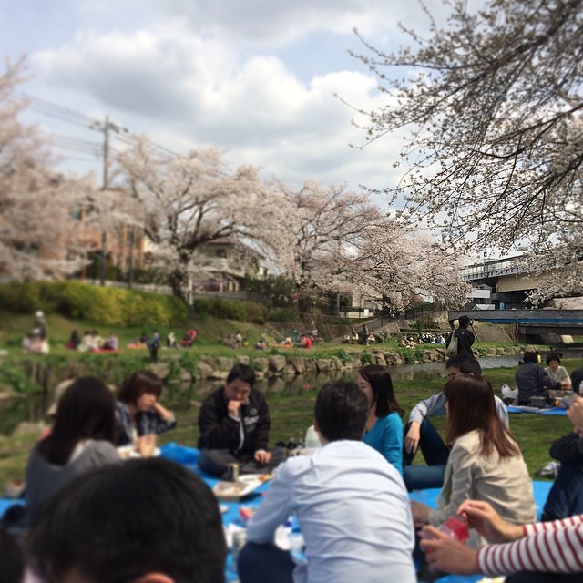 2014年4月2日 (12:55)