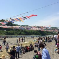 2014年5月4日 (12:29)