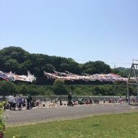 2014年5月4日 (12:28)