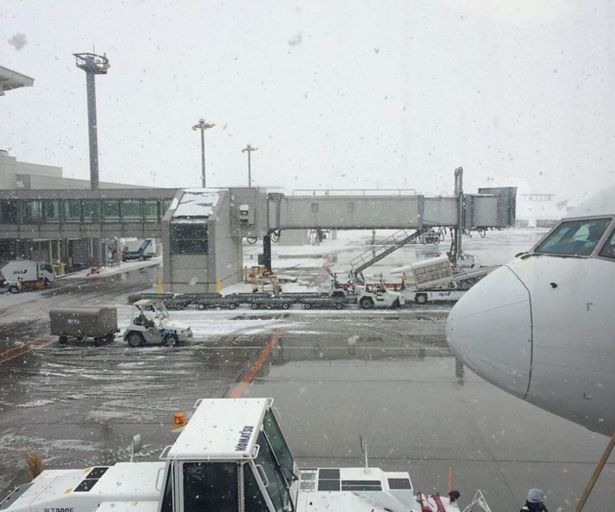 2014年12月30日 (13:34)