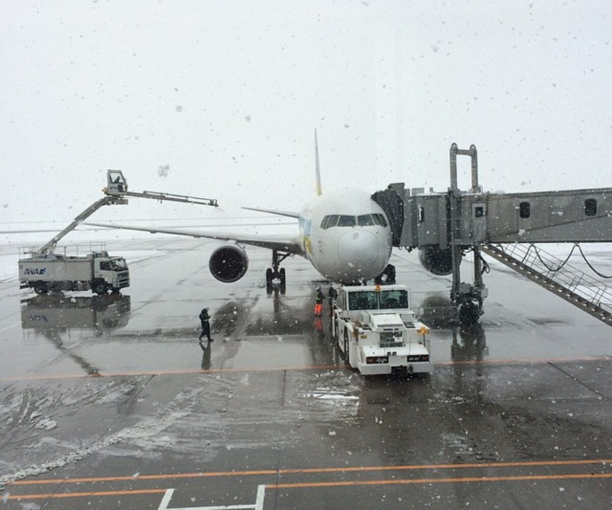 2014年12月30日 (13:32)