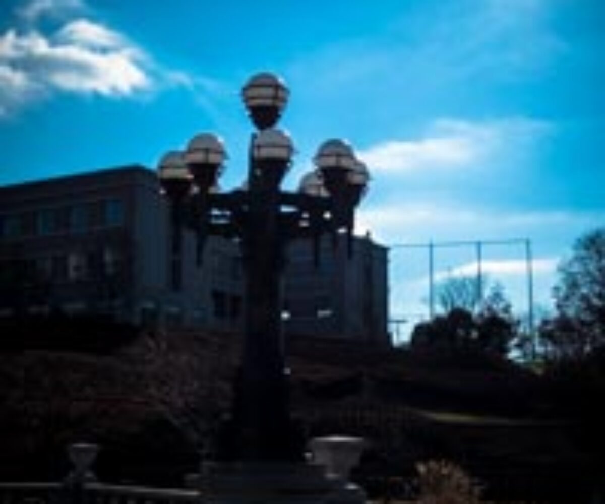 試してみました