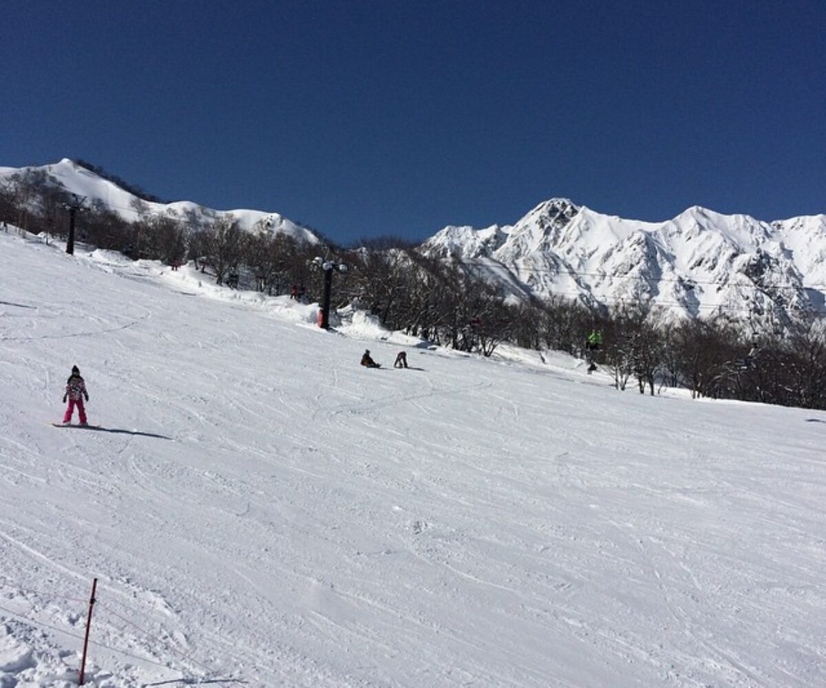 2015年2月21日 (10:27)