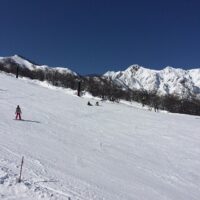 2015年2月21日 (10:27)