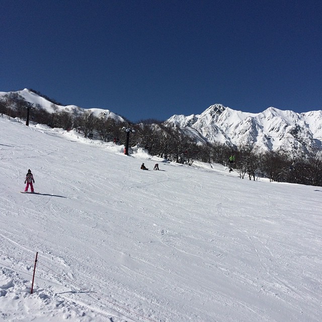 2015年2月21日 (10:27)