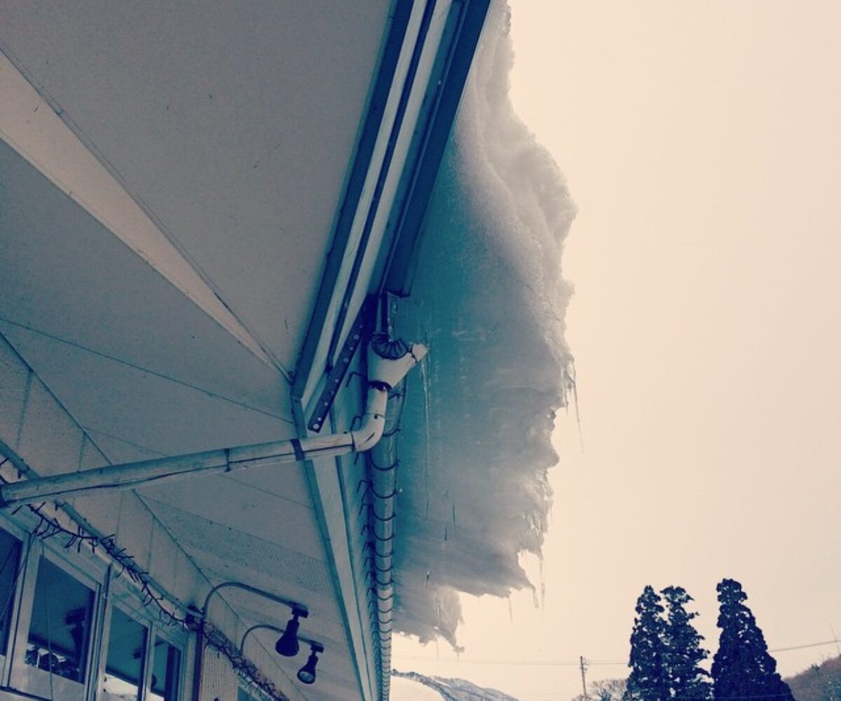 2015年2月21日 (16:28)