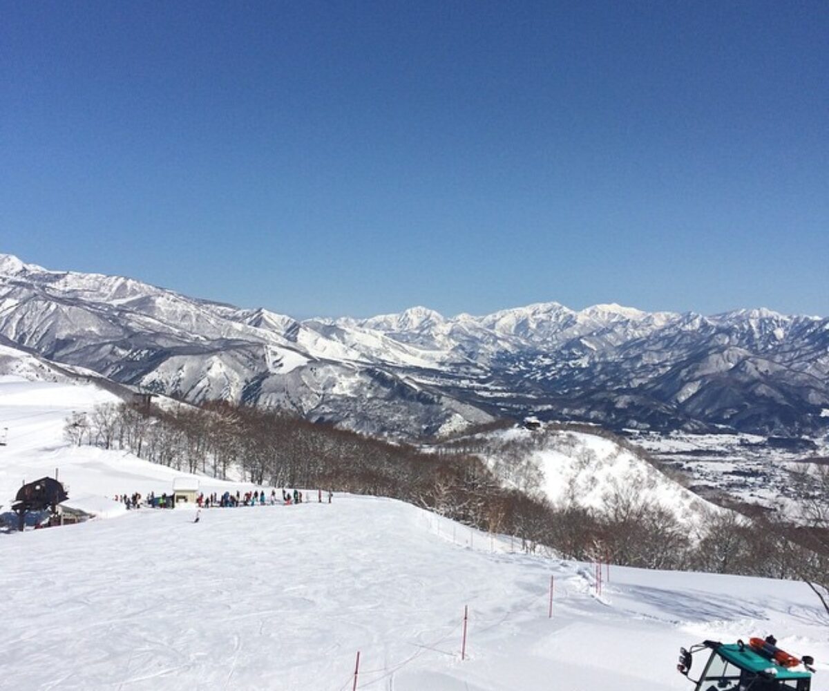 2015年2月21日 (10:24)