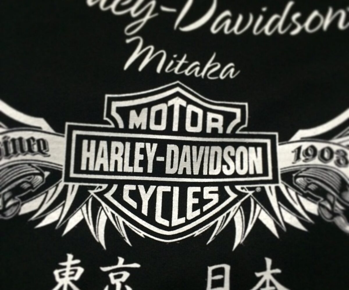 2015年2月7日 (17:37)