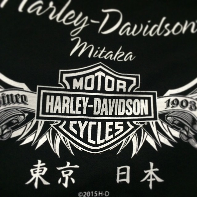 2015年2月7日 (17:37)