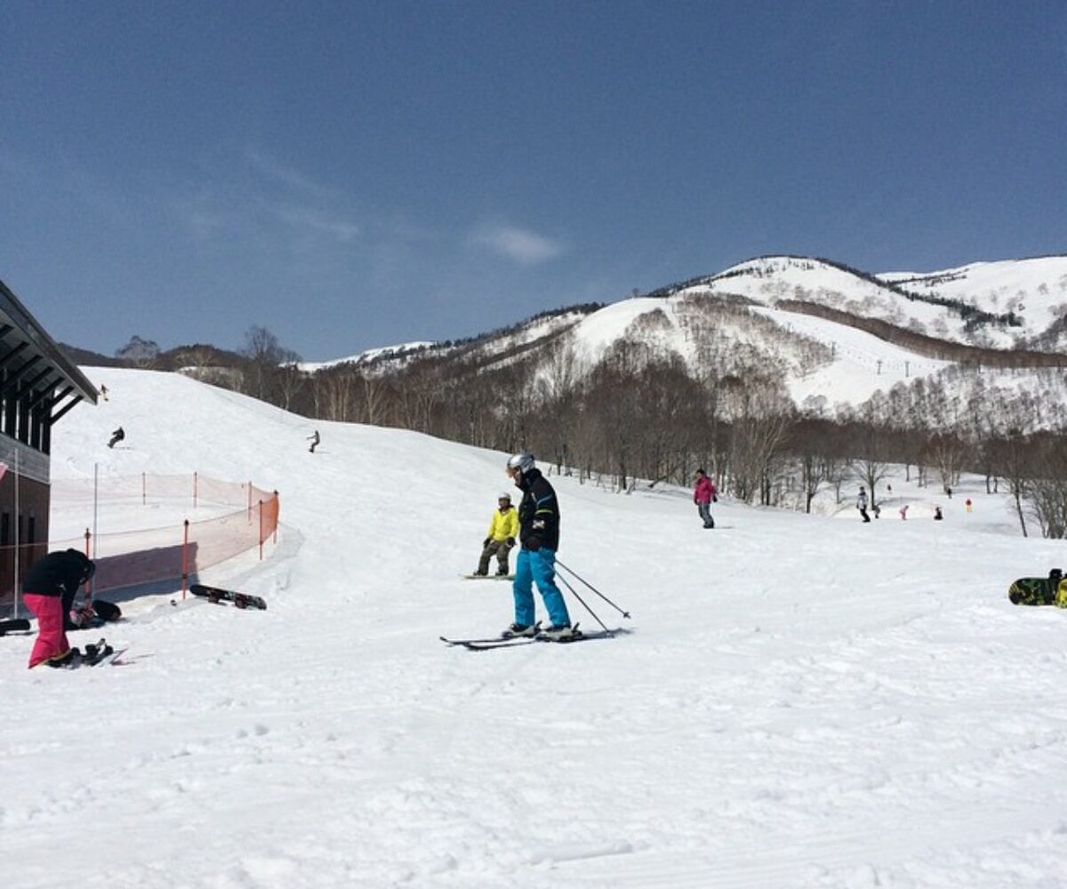 2015年4月18日 (10:09)