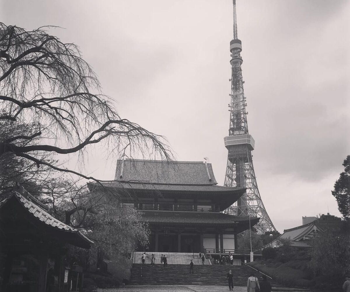 2015年11月21日 (16:24)